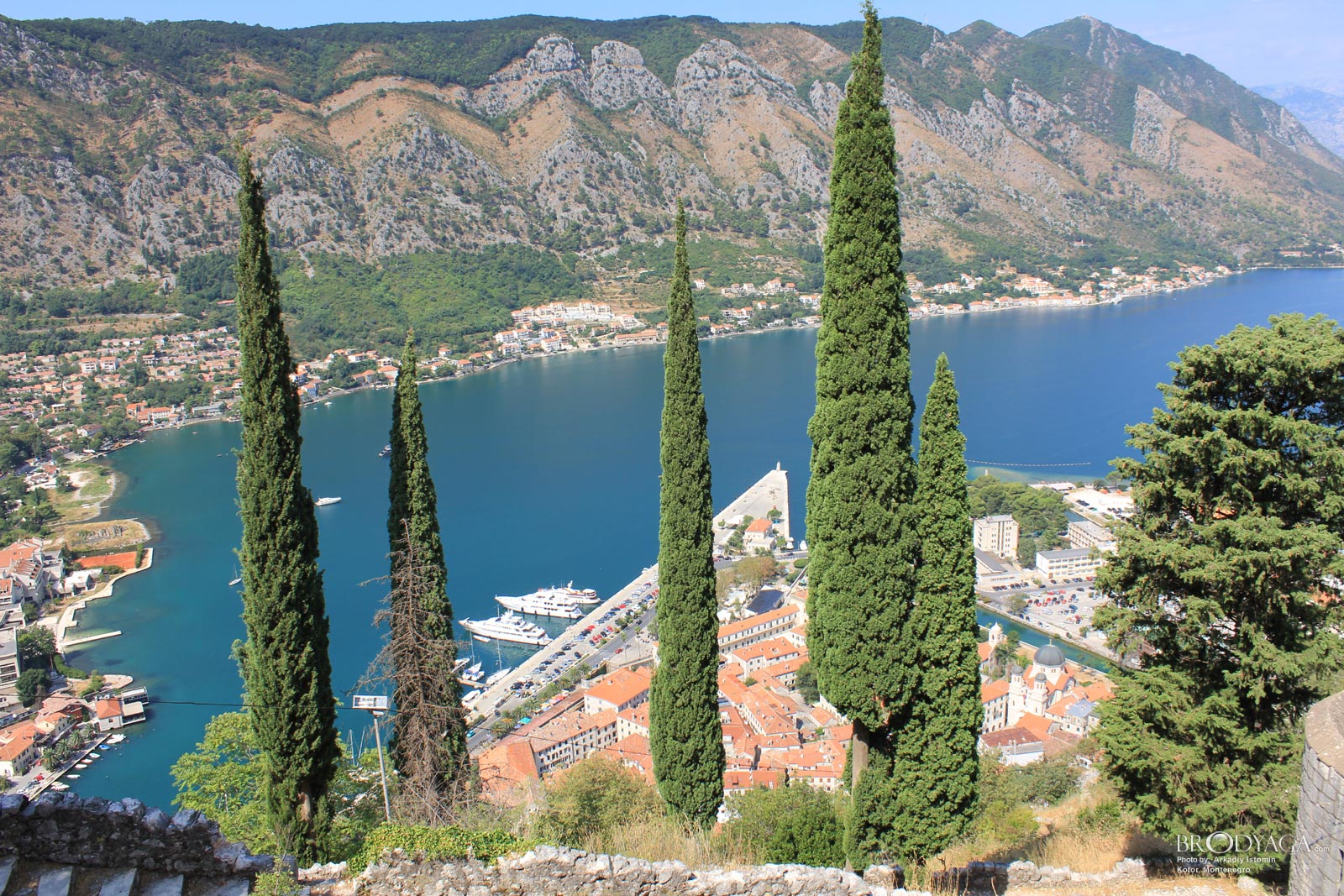 Kotor